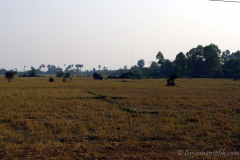 siem-reap-cambodia-1092054