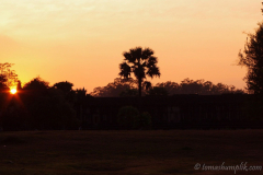 siem-reap-cambodia-1092056