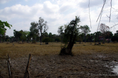 siem-reap-cambodia-1092064