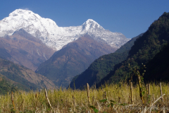 annapurna-nepal-1040704