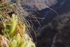 annapurna-nepal-1040711