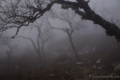 annapurna-nepal-1040714