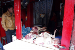 kathmandu-nepal-1049134