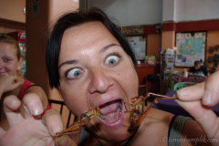 bangkok-thailand-1064062