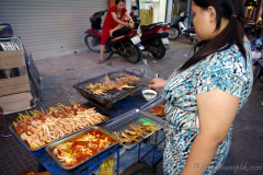 saigon-and-mekong-delta-vietnam-1092006