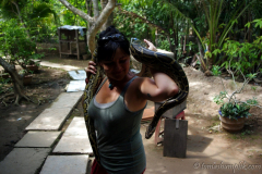 saigon-and-mekong-delta-vietnam-1092007