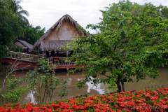 saigon-and-mekong-delta-vietnam-1092011