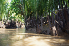 saigon-and-mekong-delta-vietnam-1092013
